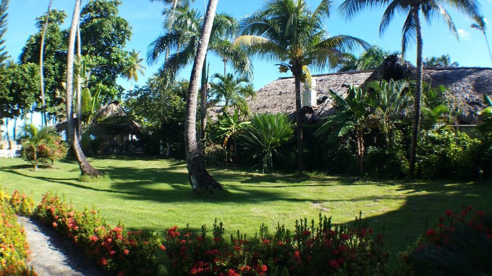 Villa Chiara Las Terrenas Dış mekan fotoğraf